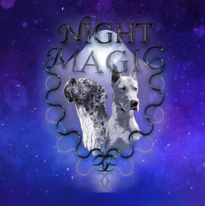 Meet your Posher, Night magic